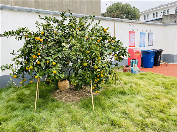 常州市武进区戴溪幼儿园